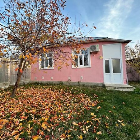 Qafqaz Resort Family House Gabala Eksteriør billede