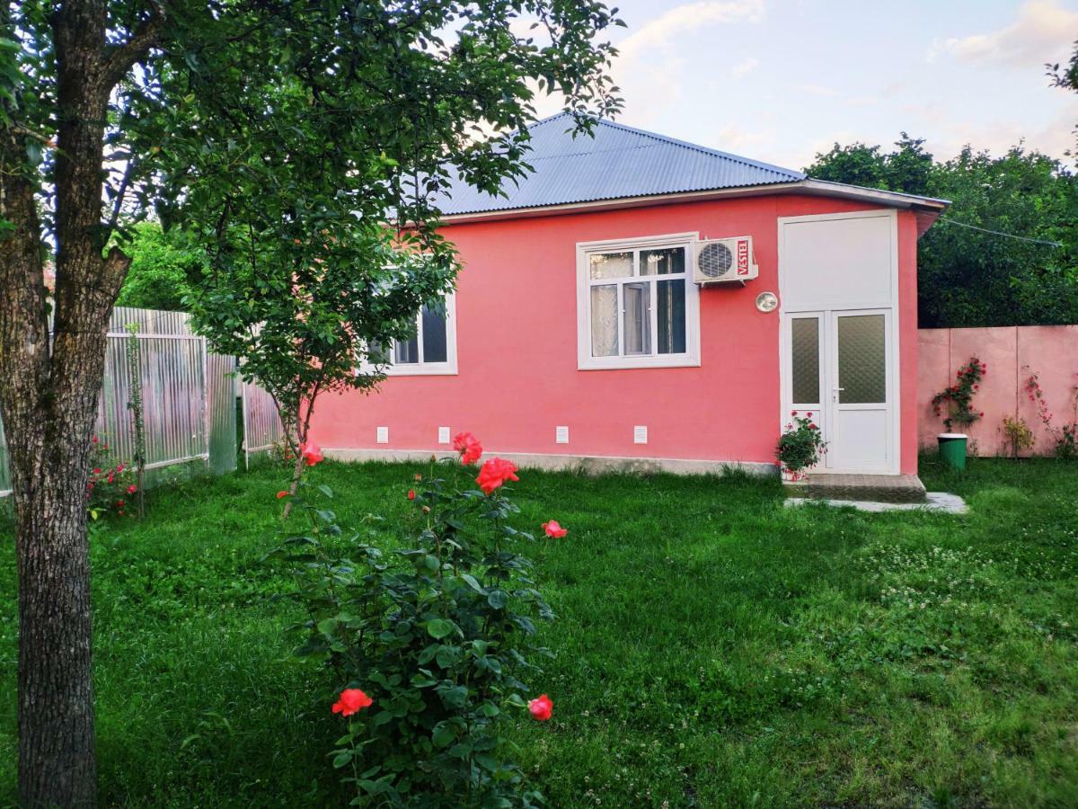 Qafqaz Resort Family House Gabala Eksteriør billede
