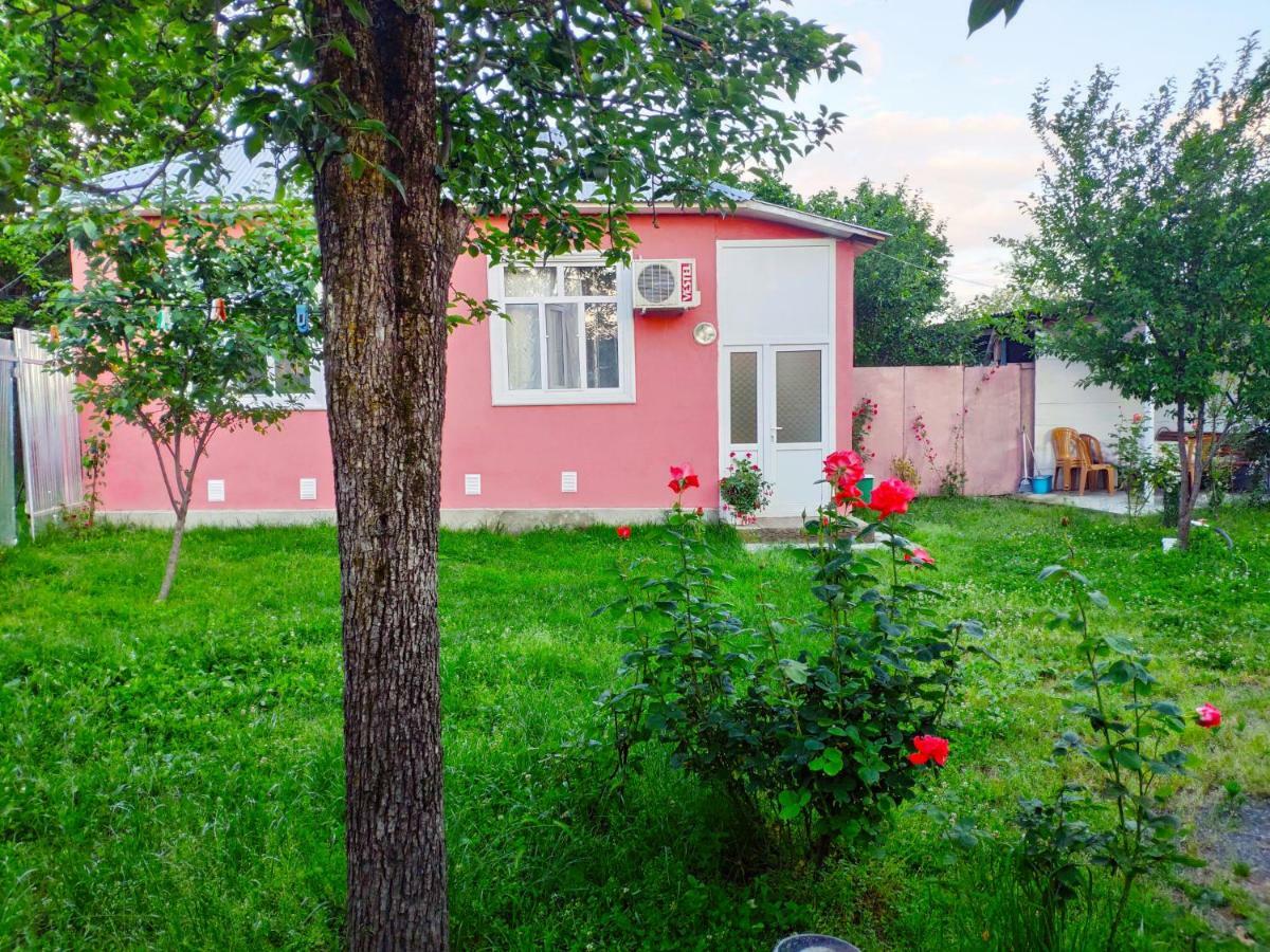 Qafqaz Resort Family House Gabala Eksteriør billede
